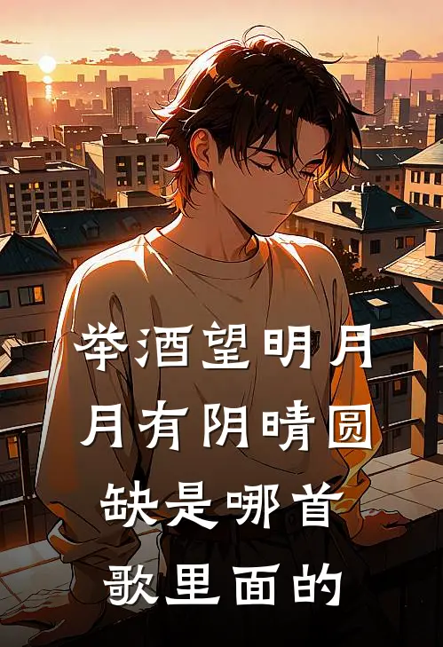 举酒望明月月有阴晴圆缺是哪首歌里面的