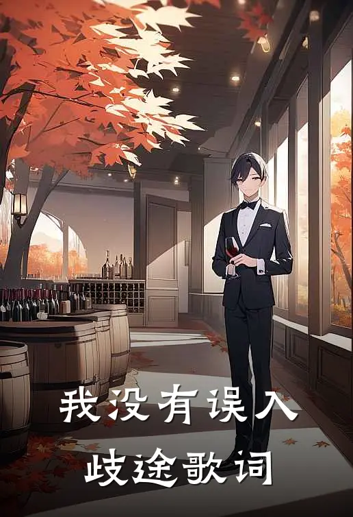 我没有误入歧途歌词