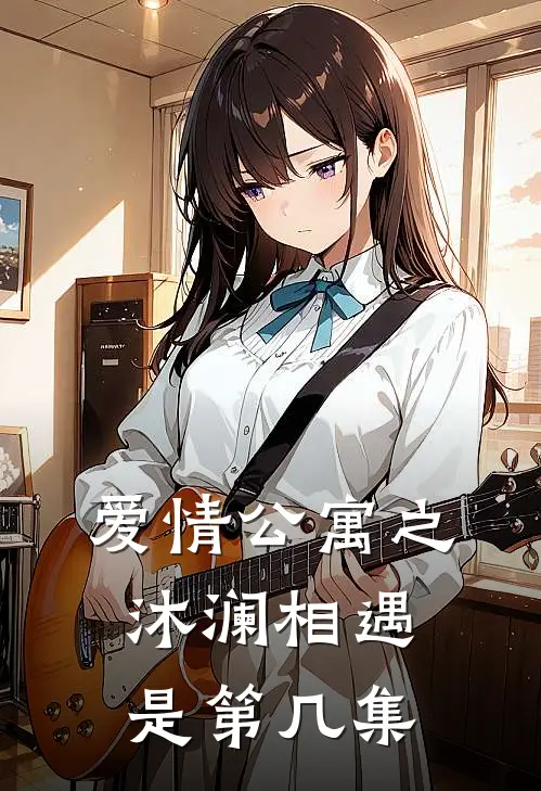 爱情公寓之沐澜相遇是第几集