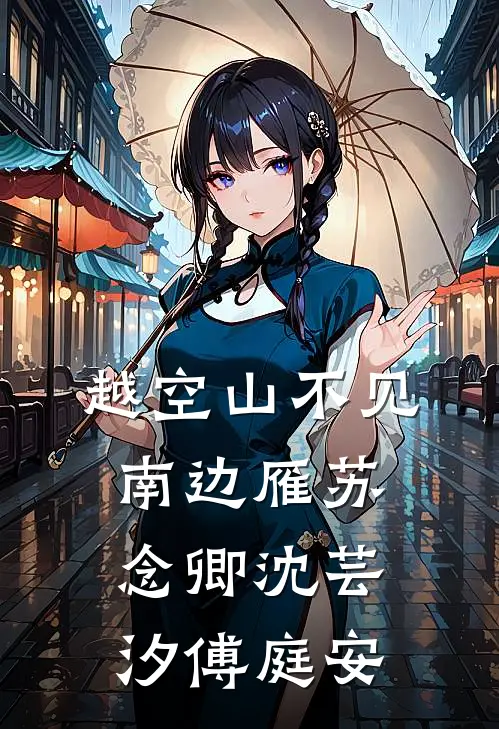 越空山不见南边雁苏念卿沈芸汐傅庭安